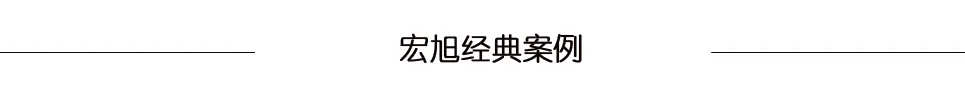 开云kaiyun网页版官网经典案例